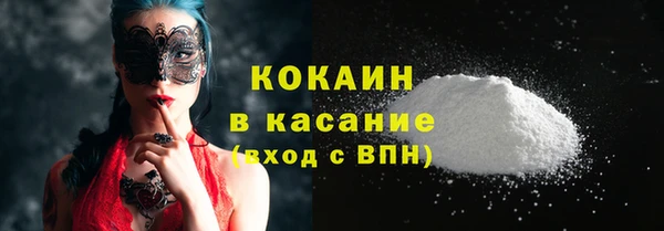 крисы Лагань