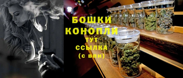крисы Лагань