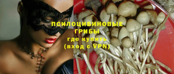 spice Ладушкин