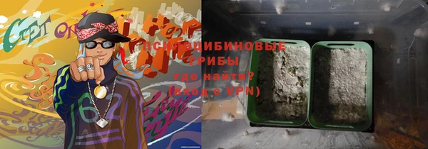 крисы Лагань