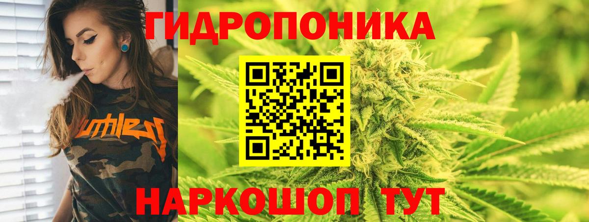 Каннабис сатива Нефтекамск